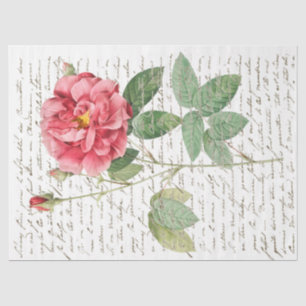 Pink Rose Vintage French Script Gold Lg Decoupage Tissue Paper