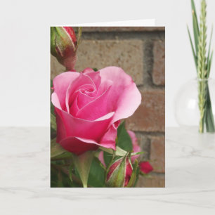 Pink Rose w/bricks Card