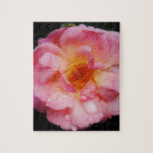 Pink Rose w/ Dew Drops Black Background Jigsaw Puzzle