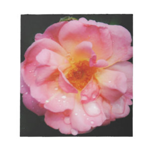 Pink Rose w/ Dew Drops Black Background Notepad