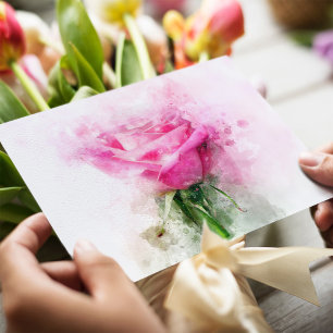 Pink Rose Watercolor Art on White Background Postcard