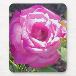 Pink Rose with a Bee Mouse Pad