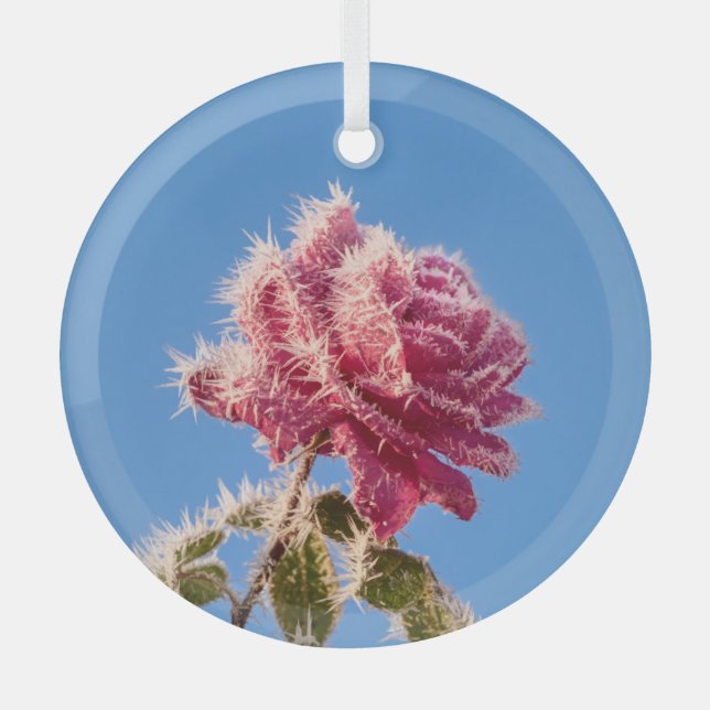 Pink Rose with Icy Frost in a Cold Winter Nature - Glass Ornament (Front)
