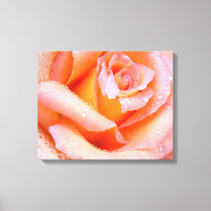 Pink Rose Wrapped Canvas