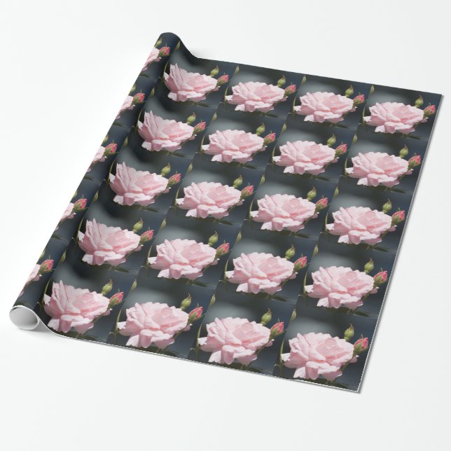pink rose wrapping paper (Unrolled)