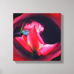 Pink Rosebud Abstract Floral Canvas Print