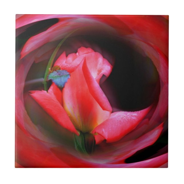 Pink Rosebud Flower Abstract Art Tile (Front)
