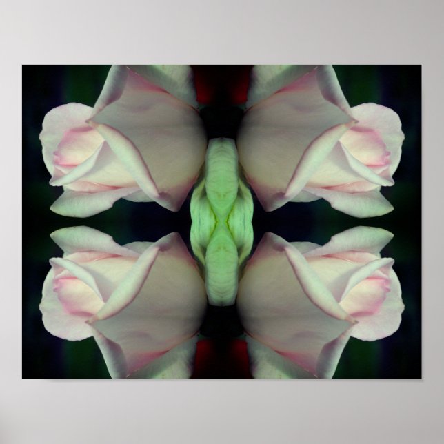 Pink Rosebud Flower Abstract  Poster (Front)