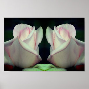 Pink Rosebud Flower Mirror Abstract  Poster