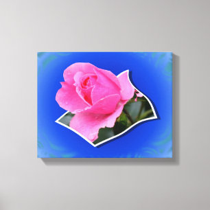 Pink Rosebud Flower Out Of Bounds Canvas Print