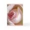 Pink Rosebud Greeting Card