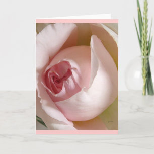 Pink Rosebud Greeting Card