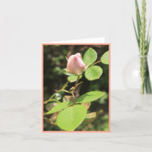 Pink Rosebud Portrait Note Card