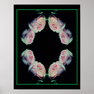 Pink Roses Abstract Poster
