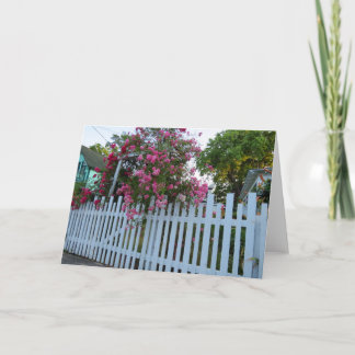 Pink Roses and Picket Fence - Martha's Vineyard Card