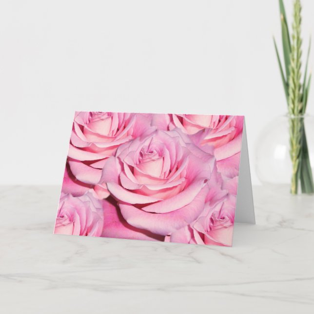Pink roses blank card (Front)