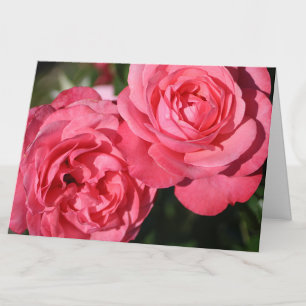 Pink Roses Blank Inside Floral Note Card