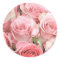 Pink Roses