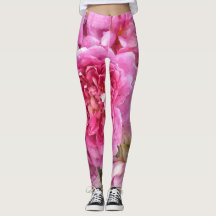 Pink Roses, Floral