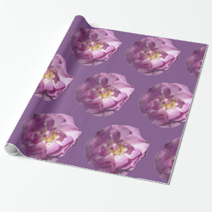 Pink Roses Glossy Wrapping Paper