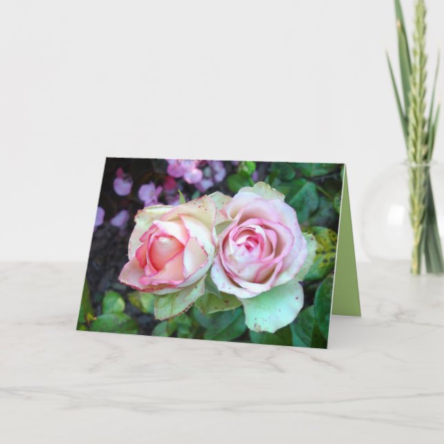 Pink Roses Greeting Card (Front)