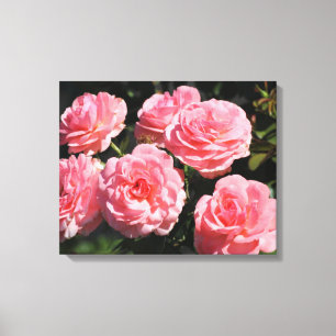 Pink Roses in bloom Canvas Print
