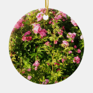 Pink Roses in bloom Ceramic Ornament