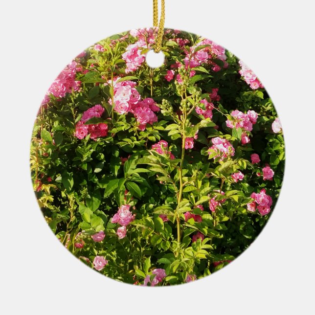 Pink Roses in bloom  Ceramic Ornament (Front)