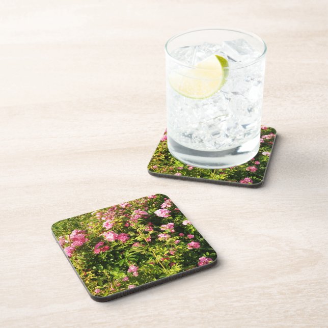 Pink Roses in bloom  Coaster (Right Side)