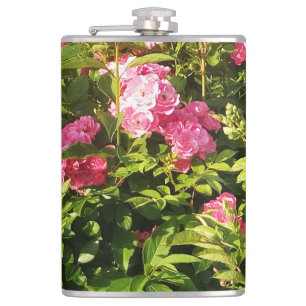 Pink Roses in bloom  Hip Flask