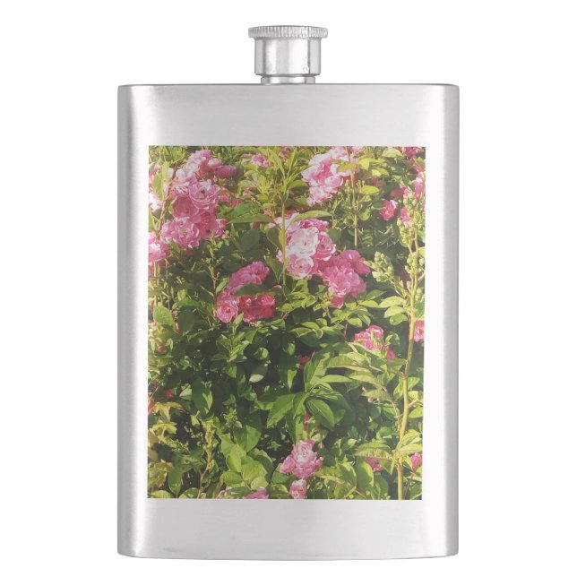 Pink Roses in bloom  Hip Flask (Front)