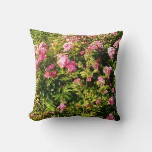 Pink Roses in bloom Throw Pillow