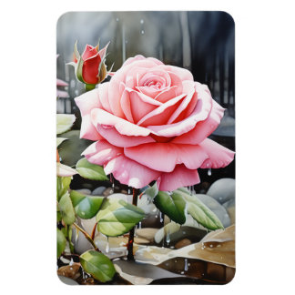 Pink Roses in the Rain Watercolor Magnet