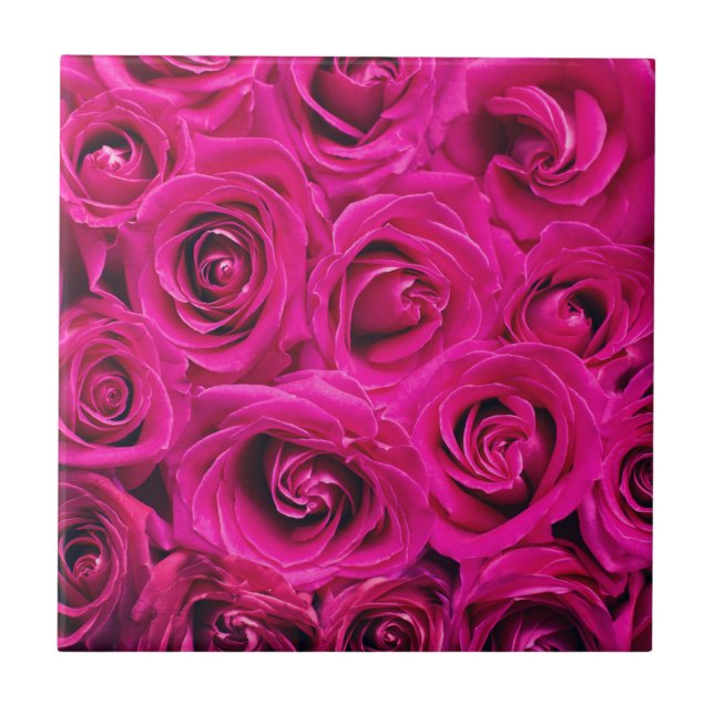 Pink Roses (Love and Romance) Tile (Front)