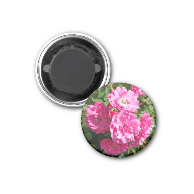 pink_roses magnet (Front)