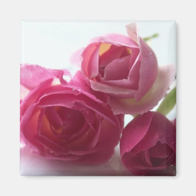 Pink Roses Magnet (Front)