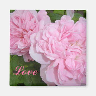 Pink Roses Magnet