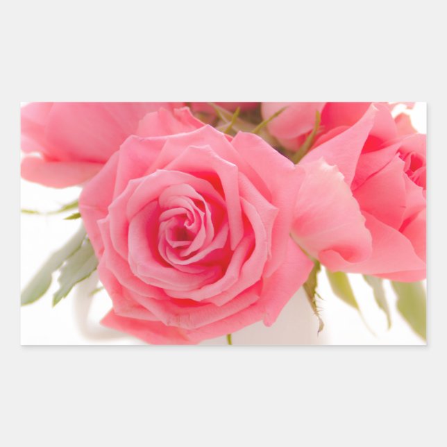 Pink roses | mothersday | birthday | sticker (Front)