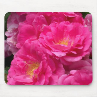 Pink Roses Mouse Pad