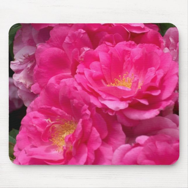 Pink Roses Mouse Pad (Front)