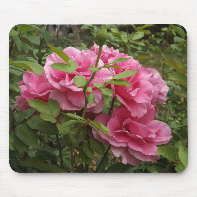Pink Roses Mouse Pad (Front)