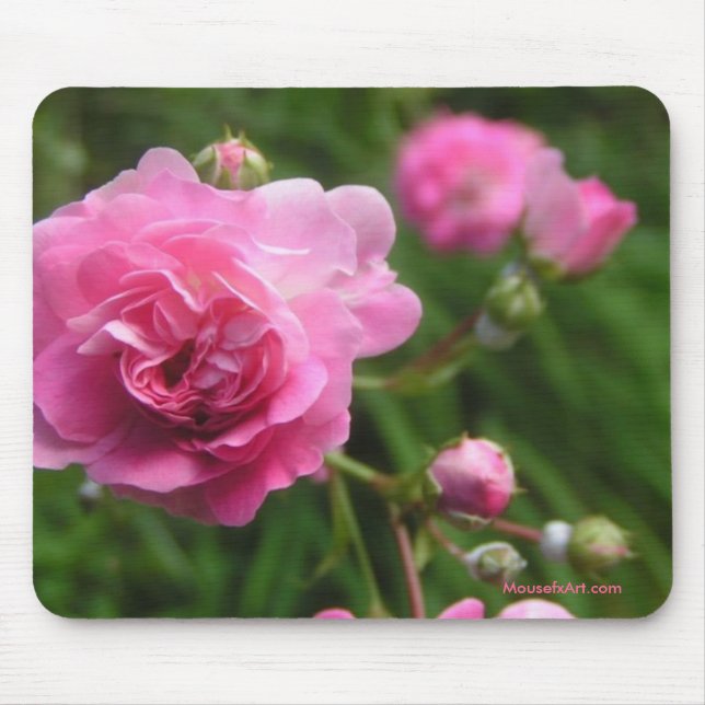 Pink Roses Mousepad (Front)
