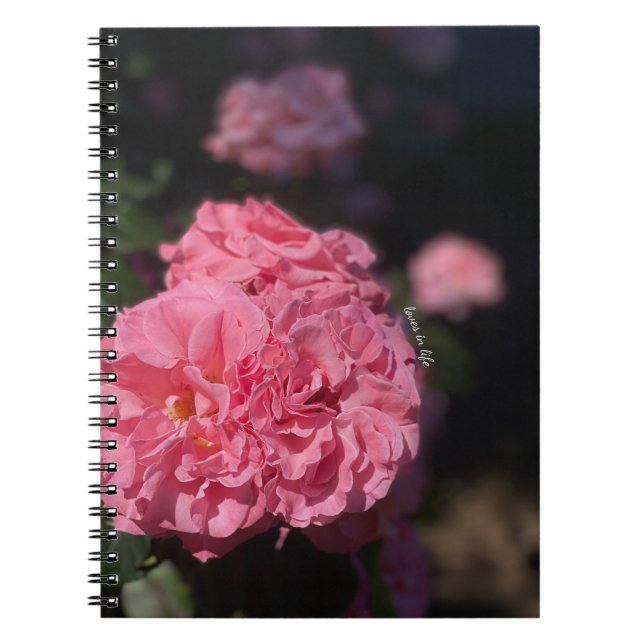 Pink Roses  Notebook (Front)