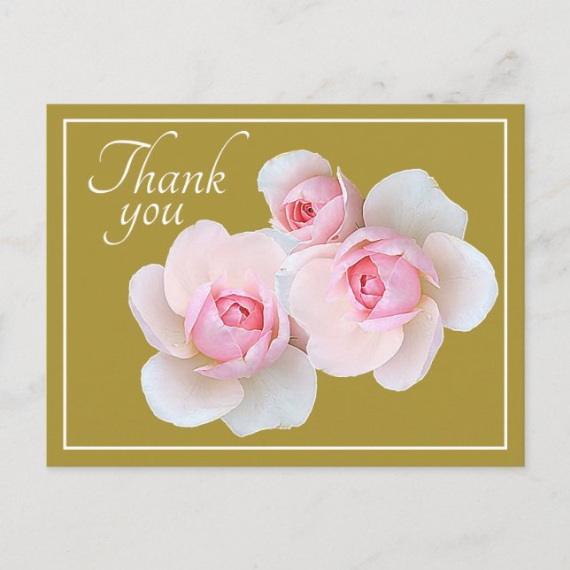 Pink Roses Olive Background Thank You Postcard (Front)