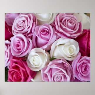 Pink Roses on canvas Poster