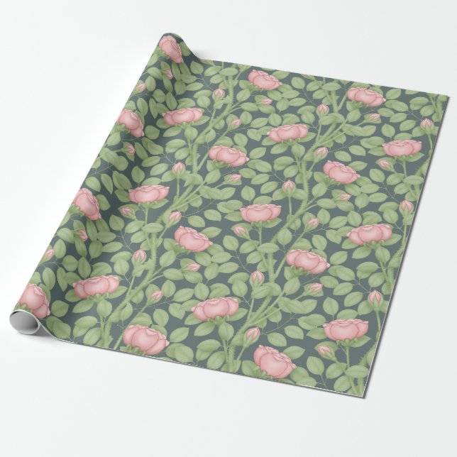 Pink Roses on Slate Blue (large scale) Wrapping Paper (Unrolled)