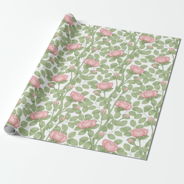 Pink Roses on White (large scale) Wrapping Paper (Unrolled)