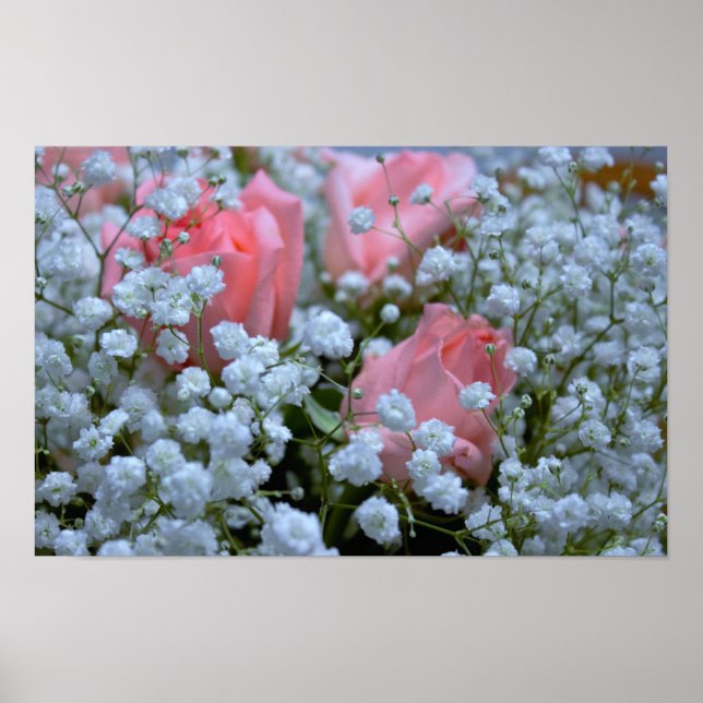 Pink Roses Photo Poster (Front)