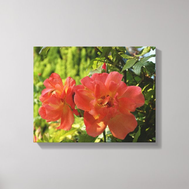 Pink Roses Photography Canvas Print (Front)