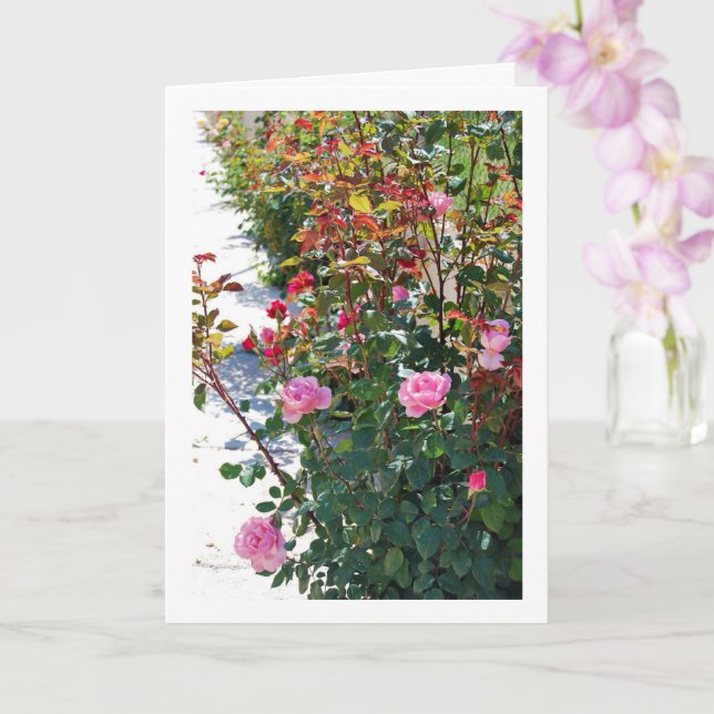 Pink Roses Portrait Card (Orchid)